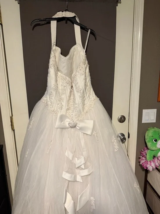 David’s Bridal Ballgown Wedding Dress - Picture 8 of 16